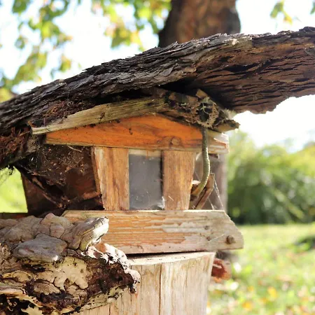 Appartamento Ennstalblick By Interhome Weyern